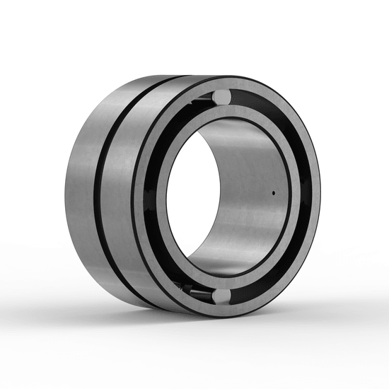 SL185009 INA - Zylinderrollenlager with white background