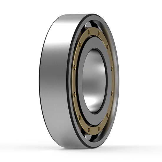 N317 ECM SKF - Zylinderrollenlager with white background