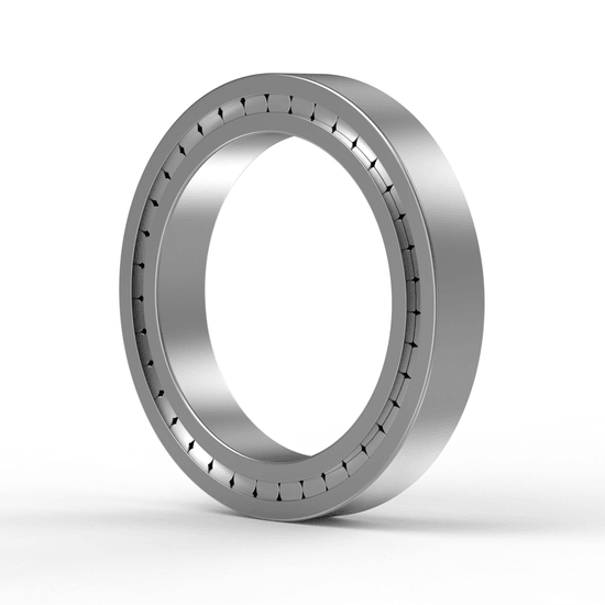 SL182934-B-XL INA - Zylinderrollenlager with white background